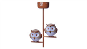 Lampka Sufitowa Owl 2Xg9 Led Ml244 Milagro
