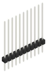 Pin header, 11 pole, pitch 2.54 mm, straight, black, 10046940
