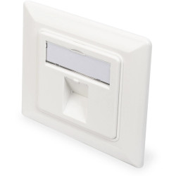 Front plate, for Keystone module, 1 x RJ45, (W x H x D) 80 x 80 x 27 mm, white, DN-93811