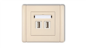 Flexi Gniazdo Podwójne 2Xusb-Aa 3.0 Beżowy 1Fgusb-6