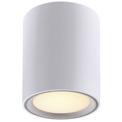 Nordlux 47550132 Fallon LED Light 5.5W Warm White Brushed Steel