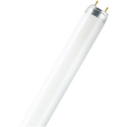 OSRAM 4050300325699 LUMILUX&#xAE; T8 36 W/827 Tube