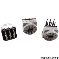 PT65-101L254 Rotary DIP Switch BCD 10 Position THT APEM