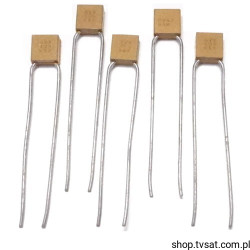 MR05-5C104KTA 100nF 50V Ceramic RADIAL AVX