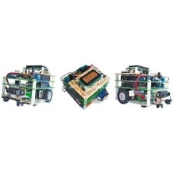 AVT3028 B - Robot kategorii lfe