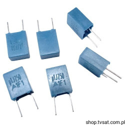 B32529C3104J PET Capacit 100nF 250V 5% R5.0 EPCOS