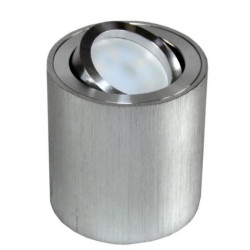 Oprawa sufitowa Febe srebrna szczotkowana ruchoma