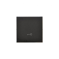 Simon 55 Klawisz pojedynczy z piktogramem klucz” do łączników/przycisków Czarny mat TKWK1/149