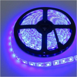 Taśma LED IP63 300SMD2835 nieb. 12V 5m ECOlight