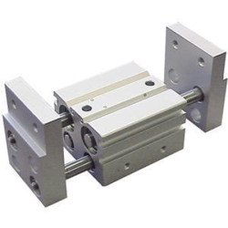 Chwytak pneumatyczny, palce: 2, Podwójna, Równoległy, 6 barów