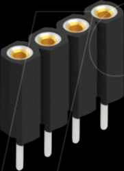 BL 5 4 Socket, 1-row, 1 x 4 - 2.54 mm