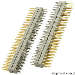 124281 Connector 2 X 24 Pin Gold THT ERNI