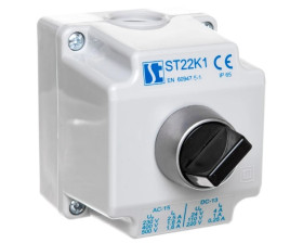 Kaseta kompletna 1-otworowa z przyciskiem p i 2 dławnicami M20 ST22K1\06-2