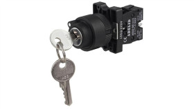 Wyłącznik Piórkowy Piórowy Z Kluczykiem As22-Eg21