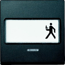 Merten System M Klawisz pojedynczy z polem opisowym i lampką sygnalizacyjną antracyt MTN434614