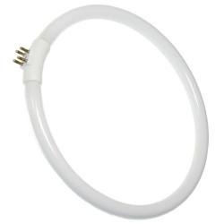 Świetlówka 22W/T4 kołowa do lamp z lupą NAR0299