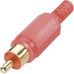 BKL Electronic 0104002/T Złącze męskie RCA/Cinch 0104002/T, złocony, 1 szt.