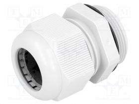 GPA-M32