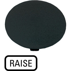 Button plate, mushroom,+inscription