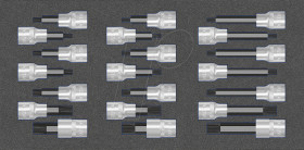 8164 4079 Bit Sockets 12,5mm (1/2") XZN / RIBE, 21-piece