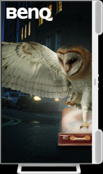 9H.LN3LJ.LBE 69-cm monitor, 2160p, 60 Hz, USB-C, pivot