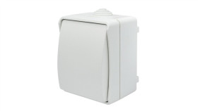 Łącznik Podwójny 2-Biegunowy Natynkowy Aqua Plus Ip54 Biały / 40221