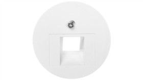 Berker/R.1/R.3 Płytka Czołowa Do Gniazda Teleinformatycznego Pojedynczego...