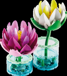 11511 LEGO® Botanicals Water Lilies