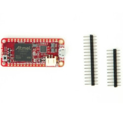 Crowd Supply Giant Board