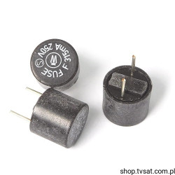 19370K-F315mA Fuse 315mA 250V BT8 WICKMANN