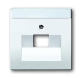 Płytka czołowa, RJ45, Biały