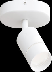 404070 Smart Light, tint, ceiling lamp Nalo, 1 spot, RGBW