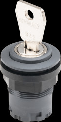 JRSSA28E Key switch - RONDEX-JUWEL, anthracite