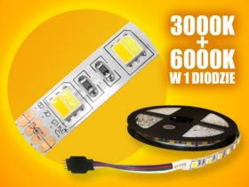 TASMA LED 5050 WW+CW 5/300LED