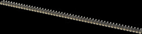 256-050-1-50-00 Precision Socket/IC Strip Straight, RM 2.54, 50-pin