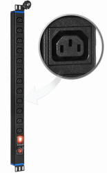 12GN-UPS-V - pionowa listwa zasilająca z włącznikiem oraz zabezpieczeniem przeciwprzepięciowym (SPD) - 12 gniazd C13