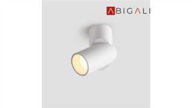 Abigali Oprawa Natynkowa Led 15W Barwa Biała Ciepła, Abigali-Rnbs15ww