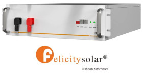 Moduł bateryjny 5.12kWh (IP21) HV FLH48100UMG1