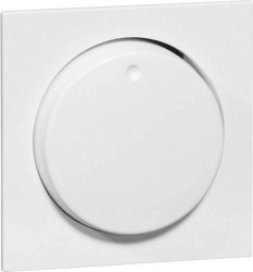 PEHA by Honeywell Zaślepka Osłona aluminiowy 157413 1 szt.