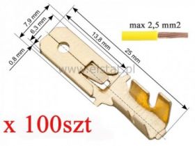 WT ( wsuwka) mosiądz 6,3/ 2,5mm2 + zaczep ( 100)