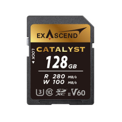 Karta SD SDXC, 128 GB, Exascend Catalyst