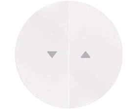 Berker R.1/R.3 Klawisz podwójny do łącznika żaluzjowego z symbolem /strzałka/ biały 16252089