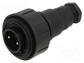 PXV0736/P