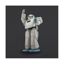 Hovis Eco Plus - robot humanoidalny 20 DoF