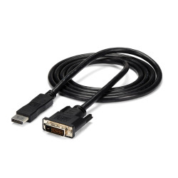 6 ft / 2m DisplayPort to DVI Video Conve