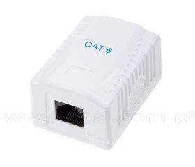 Puszka natynkowa, kat. 6, 1x RJ-45