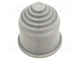 LP-65500240