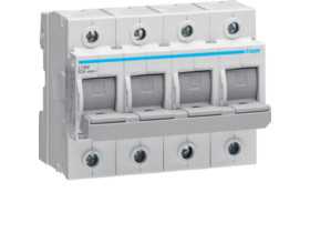 Rozłącznik bezpiecznikowy 4P 63A D02 L74M HAGER