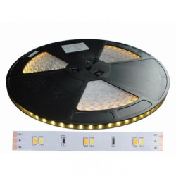 Taśma 60 led smd 2835 Multi-white 1m dual-white ciepło-zimna