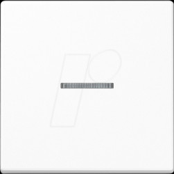 BTA17101WW Bluetooth pushbutton, single, alpine white